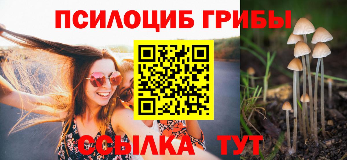 Красноуфимск  Псилоцибиновые грибы Psilocybine cubensis  Вход с VPN 